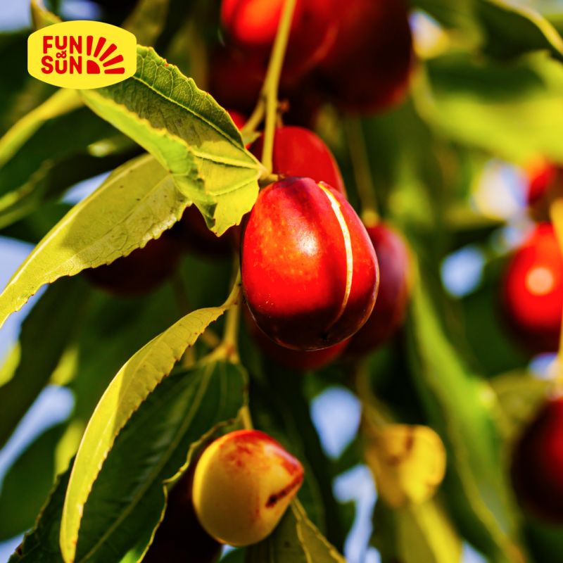 ��������� ������, ������� ����� ����������� � �����