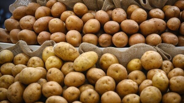 ������� ������: ����������� ������ ������� ����� ����� ��������� � ������