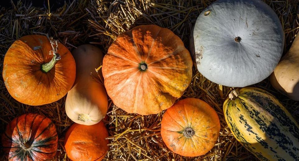 ��������� ����: �������� ������ � ������� �����