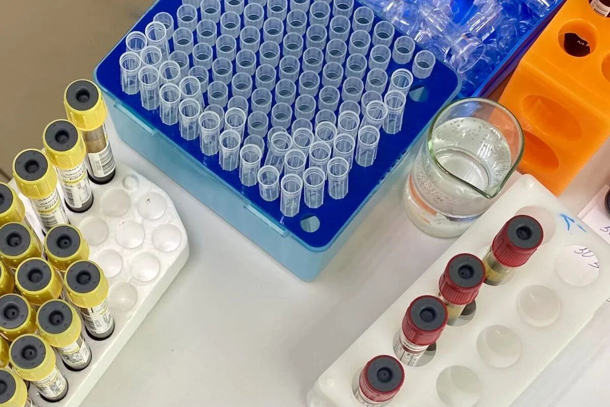 ��������: ��� ������� ������� ��� �������� ������ ����