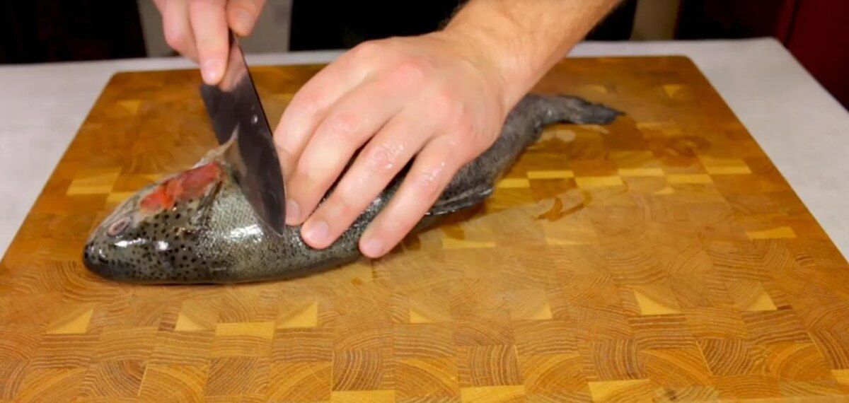 ��� ��-������ � ������� �����: ��������� �������� �������������