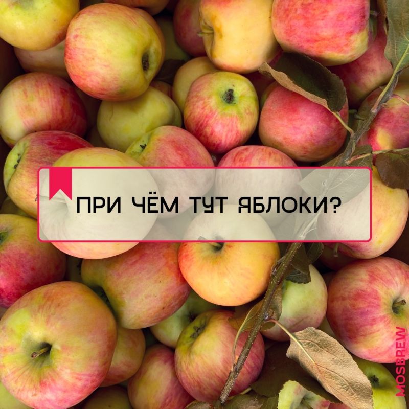 ��������� ��������: ��� �������� ���� � ������������ ������