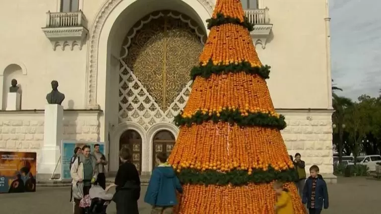 в Сухуме завершается яркий мандариновый фестиваль