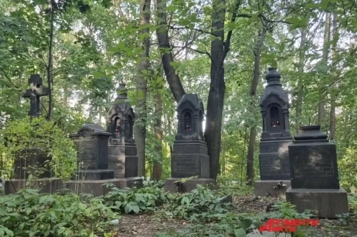 Миколог Дьяков о сборе грибов рядом с кладбищем: мифы и реальность