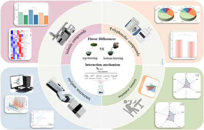 Секреты заваривания: верхнее и нижнее методы