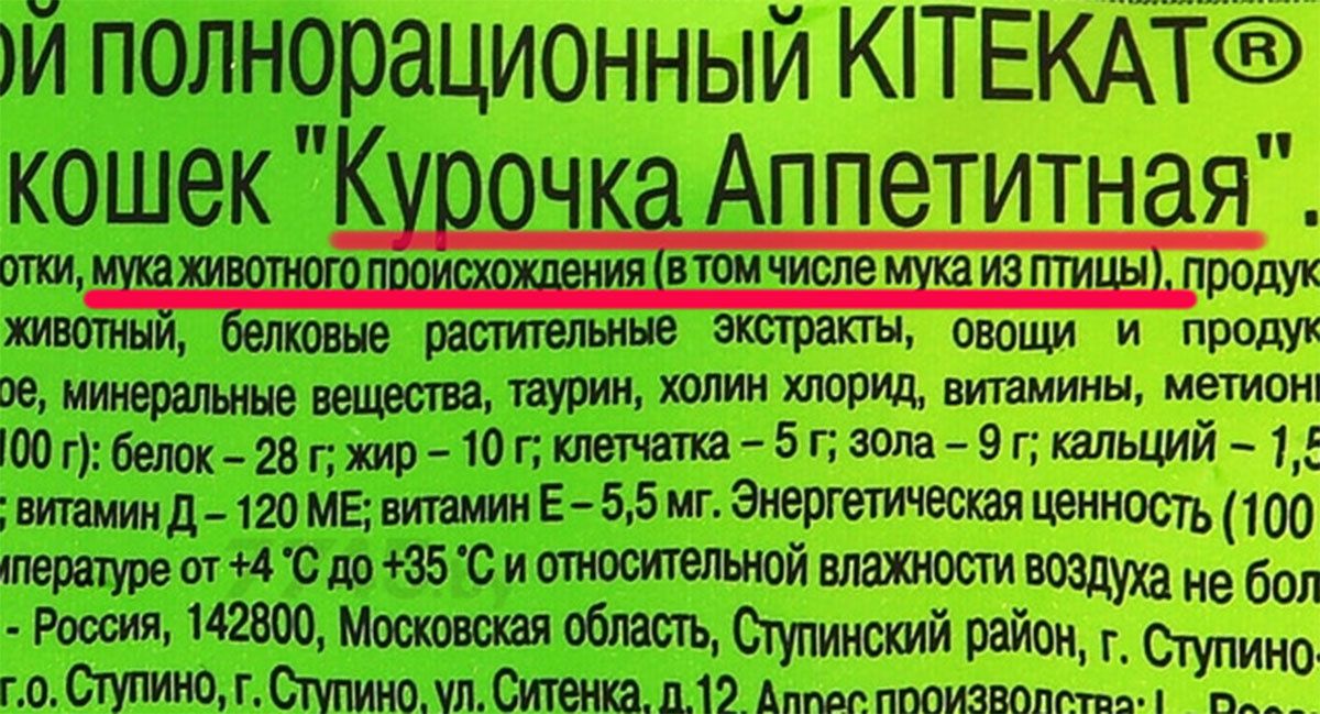 ��� ������� ������������ ������� ����: ������, ������� ���� �����