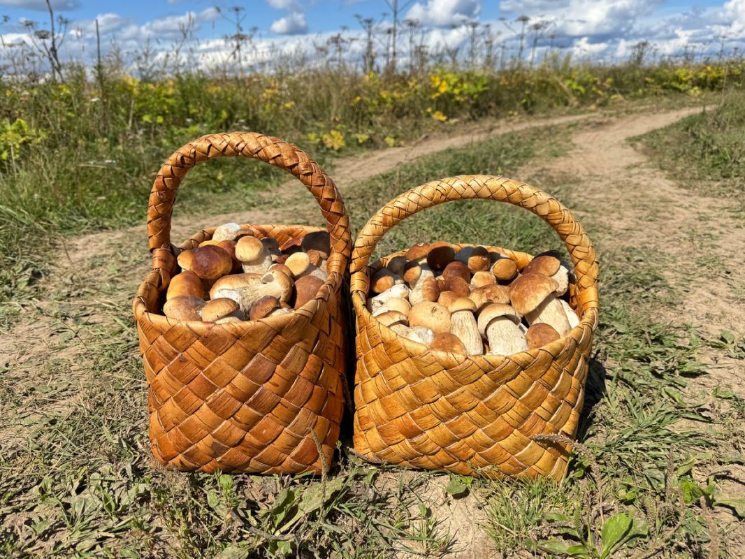 � ����� ������ ��������� ������� ���: ������ ����� � ��������!