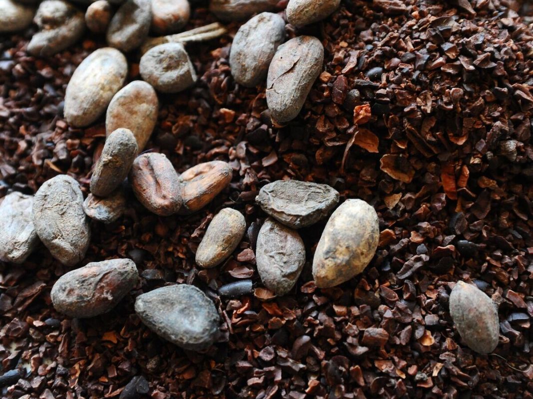 �����-���� ��� ���������: ���� ���������� ���� 4000 �������� �� �����