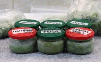 ��������� ������ �� ����: 4 ������ ������� ��� ��������� ���������