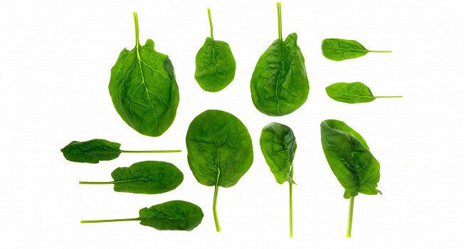 ������: ������������� ���������� ��� ���������� ��������