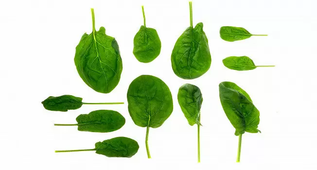 Шпинат: универсальный ингредиент для кулинарных шедевров