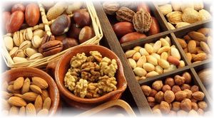 ����� �������� ������: ��� ��������� �������� � ����