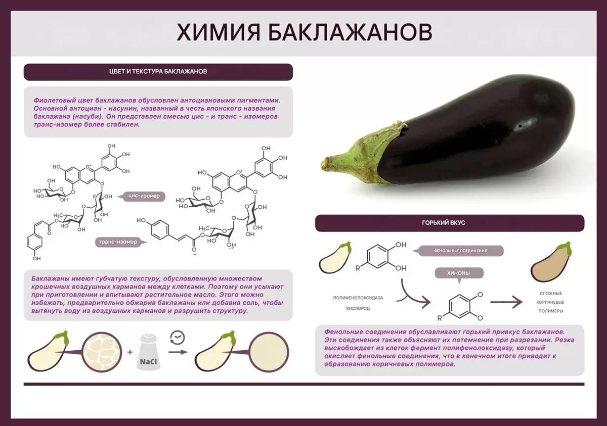 История баклажанов: от древности до нашего времени
