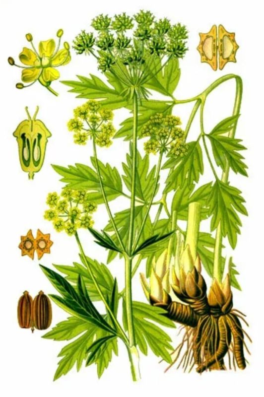 ��������� �������� ��������� � �������� ��������