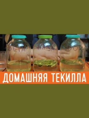 �������� �������� ������: ��� �� �����