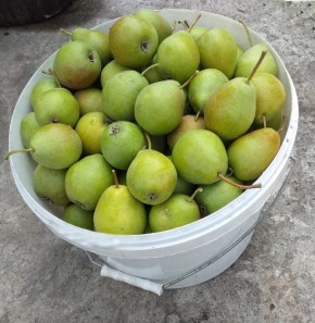 ��� ��������� ������ �������: ��������� ����� � ���� ��� ������� ������� � �����