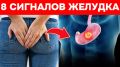������ ������� ����� ���: ��� ������� ����� ��� ������� �������� �� �����