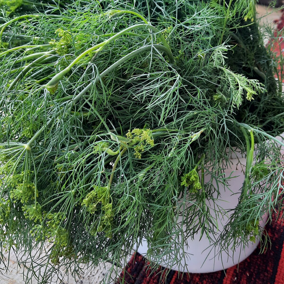 Ароматный укропный соус: идеальное дополнение для зимних блюд