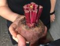 Почему варить свеклу в кожуре — это лучший способ