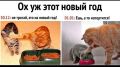 Не оставляйте новогодние салаты: чем опасны недоеденные блюда