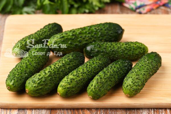 10 минут до шквала вкусов: 5 уникальных рецептов огуречных салатов