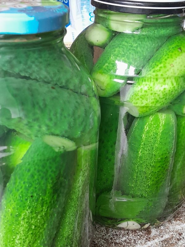Рецепт идеальных хрустящих маринованных огурчиков на зиму